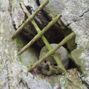 Meet your Posher, Jan